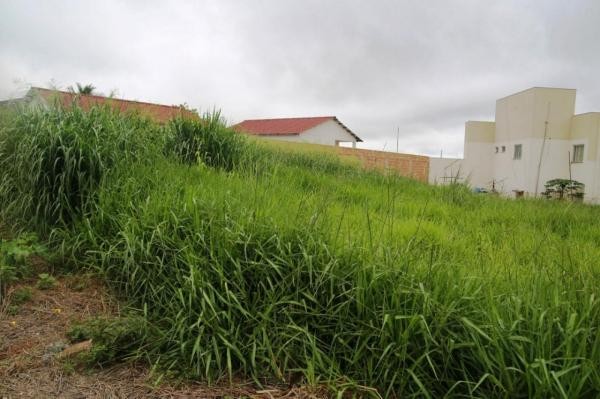 Foto: Reprodução/Câmara de Sorriso - MT