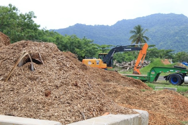 Foto: Reprodução/Prefeitura de São Sebastião - SP