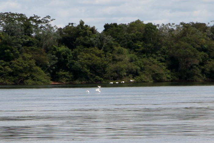 Foto: Ari Dias/AEN