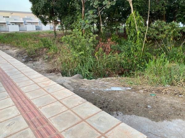 Foto: Reprodução/Câmara de Sorriso - MT