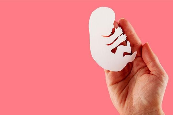 Foto: Reprodução/Câmara de Sorriso - MT