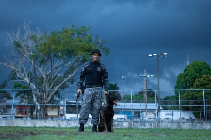 Polícia Militar do Amazonas desenvolve treinamento de cães policiais para ações do Sistema de Segurança
