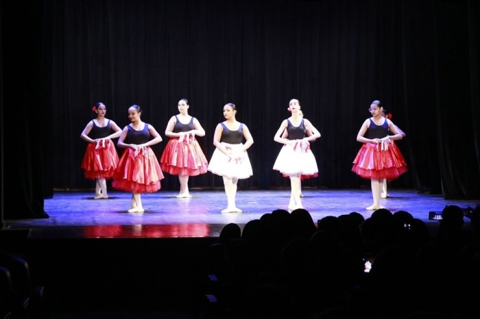 Araçatuba terá Festival da Escola Municipal de Dança