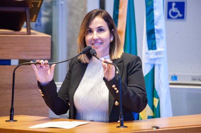 CLDF aprova matérias que protegem profissionais de saúde e permitem adoção de equipamentos na área social