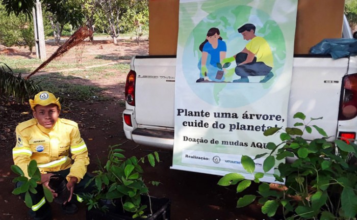 APA Lago de Palmas distribui mudas de árvores frutíferas e do Cerrado aos moradores de Luzimangues