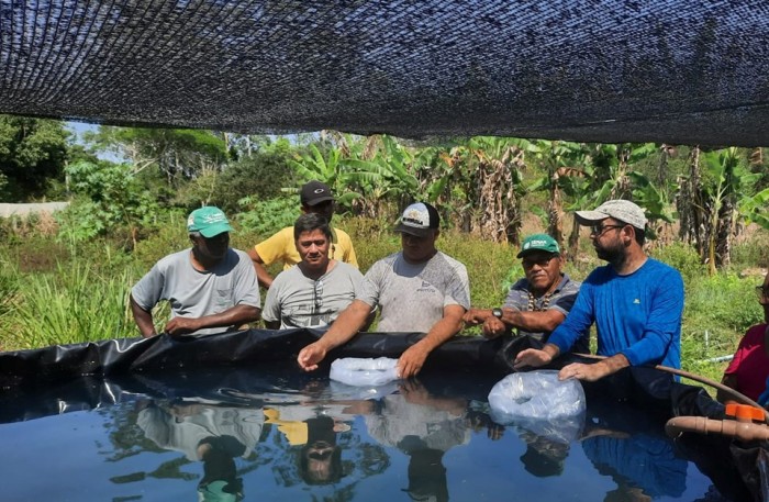 Aquaponia: projeto incentiva produção integrada de peixes e hortaliças em aldeia indígena de Aracruz