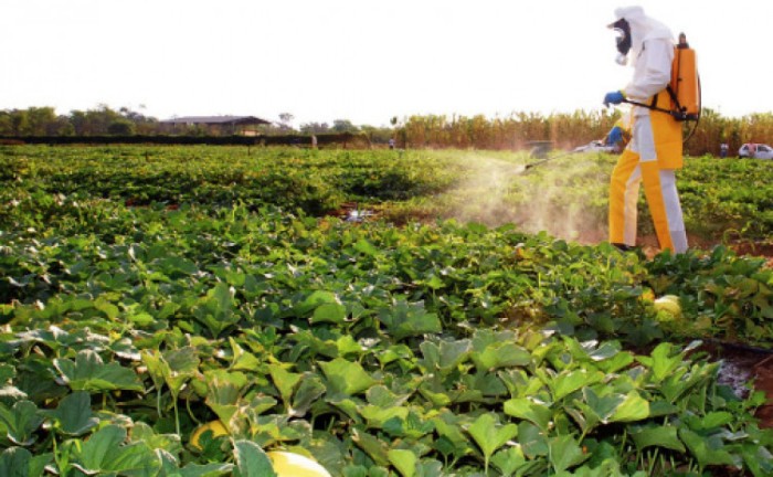 Governo do Tocantins alerta população sobre os impactos dos agrotóxicos na saúde dos trabalhadores