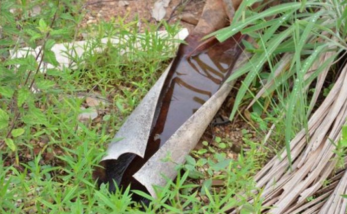 Governo do Tocantins realiza Semana Estadual de Prevenção e Controle das Arboviroses