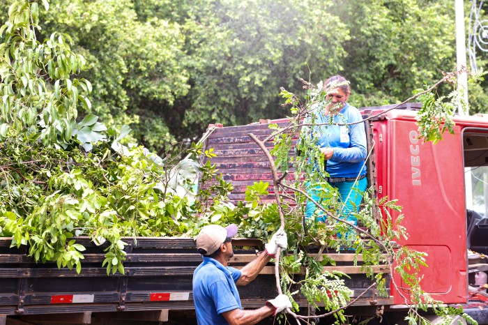 Seisp recolhe mais de 90 árvores caídas em função das fortes chuvas recentes
