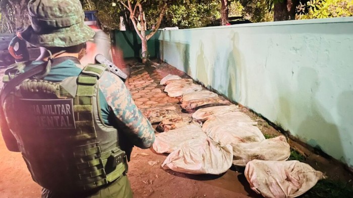 Em Novo Airão, Polícia Militar do Amazonas apreende 194 quelônios