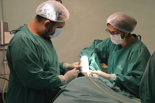 Serviço Odontológico do Hospital da PM realiza mutirão de atendimentos neste sábado (9)