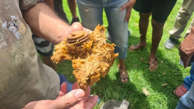 Foto: Reprodução/Prefeitura de São Sebastião - SP