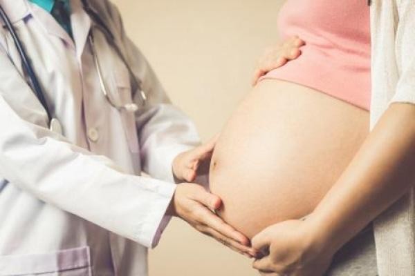 Parlamentar solicita transporte coletivo gratuito às gestantes de baixa renda para fazerem consultas médicas