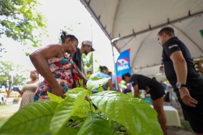 Crédito: MARCELO LELIS / AG. PARÁ