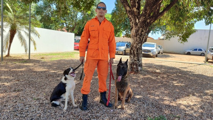 Vacinação contra a raiva animal em Palmas segue no período da tarde deste sábado, 9