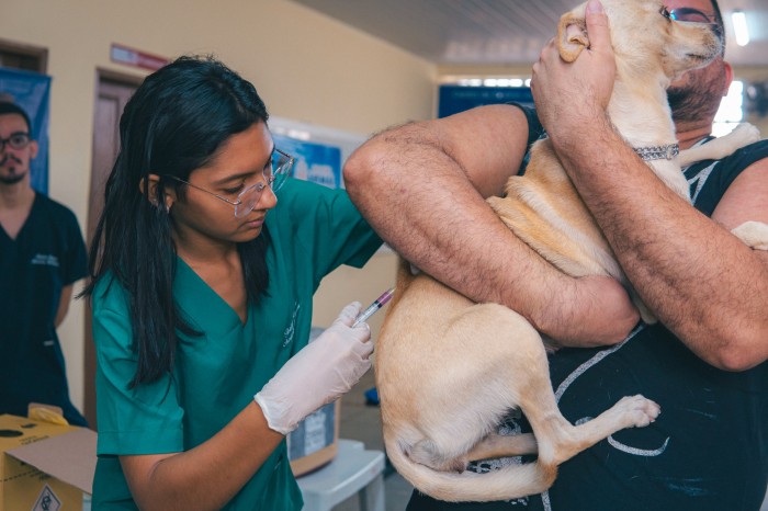Governo leva assistência a cães e gatos na 4ª edição do Cuidar de Todos Saúde Animal