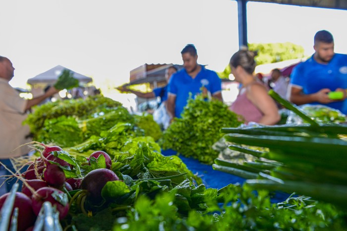 Em 12 meses, Prefeitura de Palmas injeta R$ 66,3 milhões na economia com auxílio-alimentação