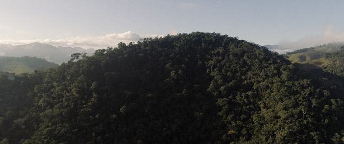 Produtores rurais do Programa Reflorestar vão receber bonificação para garantir proteção a espécies de fauna ameaçada