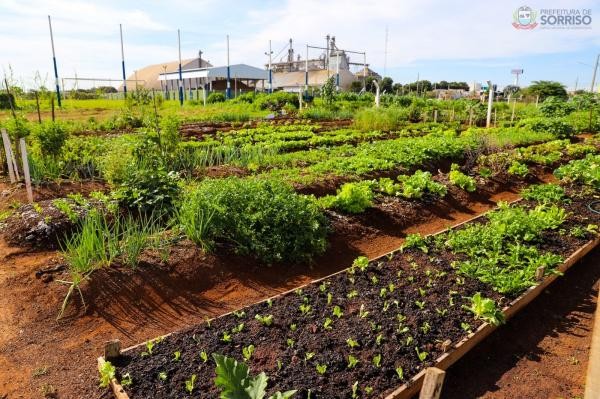 Parlamentar destina verba para hortas comunitárias