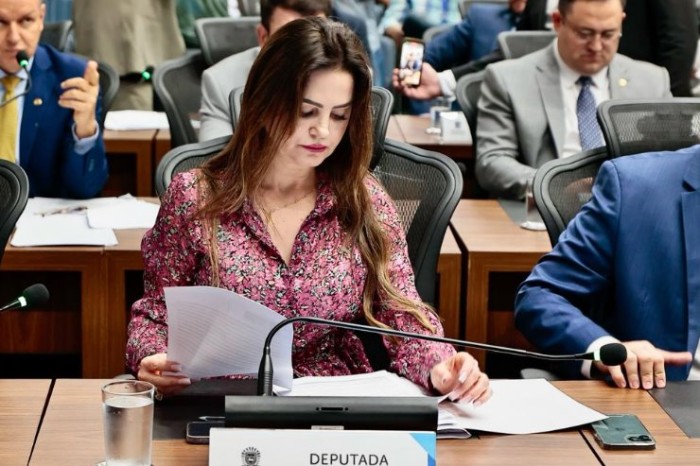 Para segurança de cidadãos, Mara Caseiro pede melhorias de trecho entre Juti e Vicentina