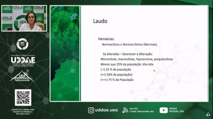 Hemoam promove primeira webpalestra de hematologia para municípios do interior