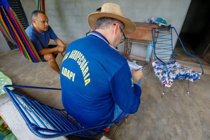 Peste Suína Clássica: Sada e Adapi realizam ações de saneamento do foco em Boqueirão do Piauí