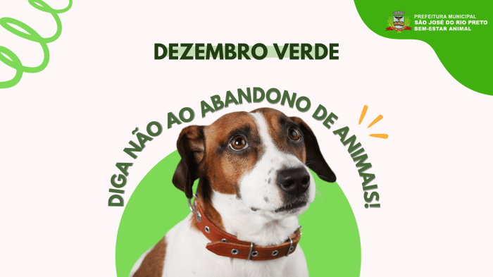 Dezembro verde acende alerta para abandono de animais
