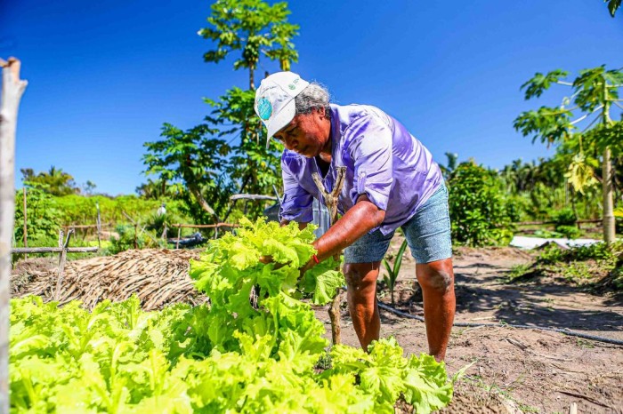 Garantia Safra: agricultores familiares de 155 municípios têm até esta quinta (21) para solicitar benefício