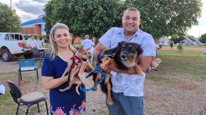 Vacinação antirrábica no Ginásio Ayrton Senna imuniza 225 cães e gatos