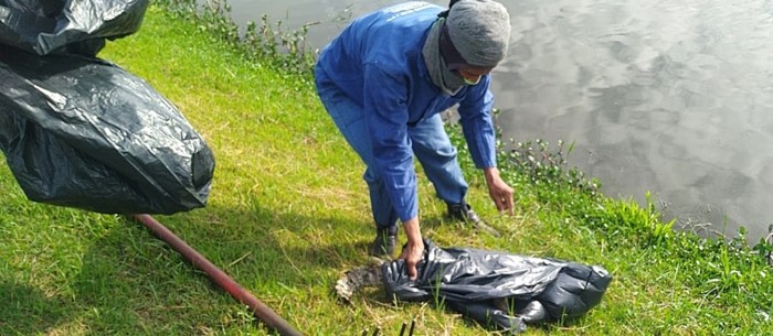 Foto: Reprodução/Prefeitura de Feira de Santana - BA