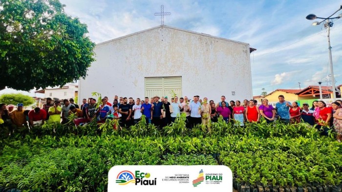 Semarh distribui mais de 450 mil de mudas nativas e frutíferas em 2023 pelo programa PRO Verde