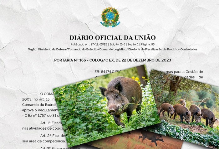 Foto: Reprodução/Secom SC