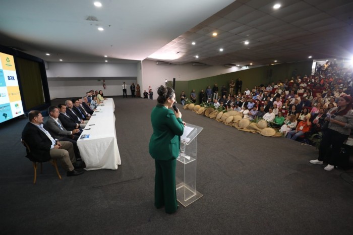 FMA realizou importantes ações de política ambiental em 2023