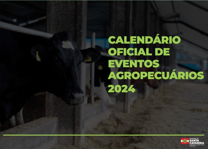 Foto: Reprodução/Secom SC