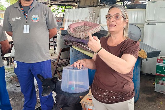 Armadilha para mosquito é utilizada por Praia Grande no combate à dengue