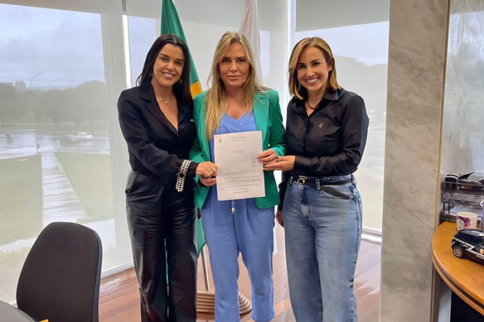 Dayse Amarilio sugere comitê para planejamento de políticas para as mulheres na área de Segurança Pública
