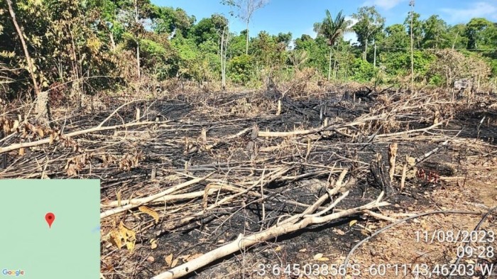Crimes contra o meio ambiente: PC-AM apresenta balanço das operações realizada no segundo semestre de 2023