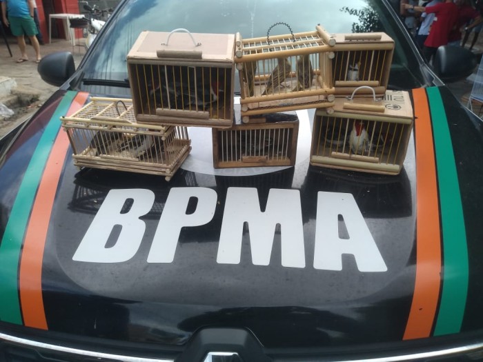 Foto: Reprodução/Secom Ceará