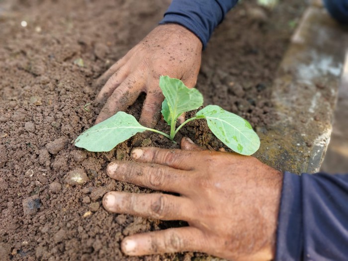 Foto: Reprodução/Prefeitura de Marabá - PA