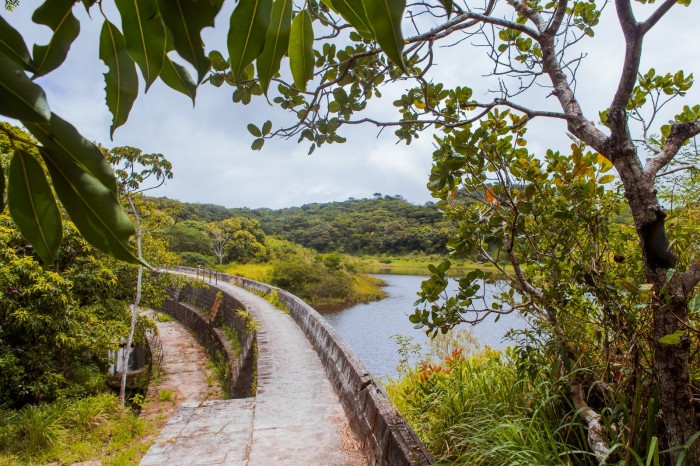 Foto: Reprodução/Prefeitura de Caruaru - PE
