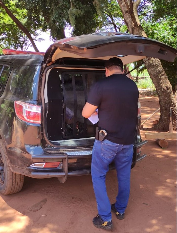 Foto: Reprodução/Polícia Civil - MS