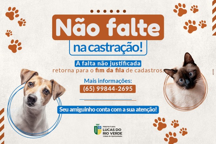 Prefeitura alerta tutores de animais a não faltarem ao dia da castração