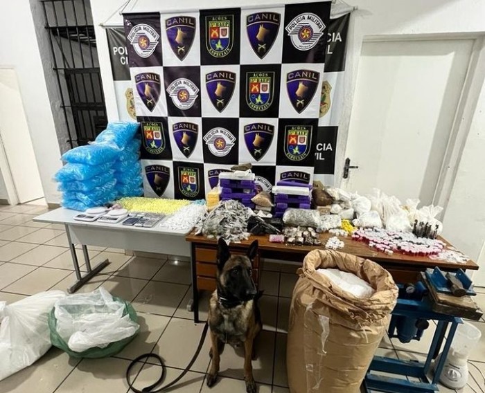 A operação faz parte das ações da Operação Impacto