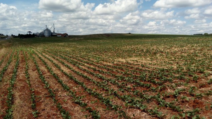 Foto: Reprodução/Secom SC