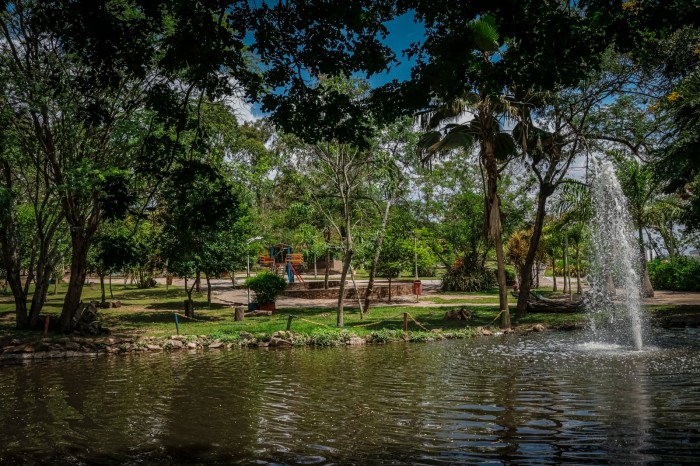 Foto: Reprodução/Prefeitura de Caruaru - PE