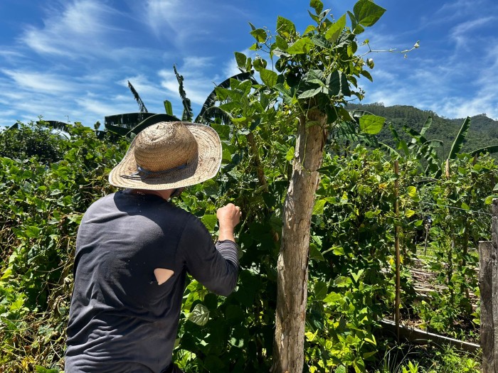 Agricultores recebem orientação sobre novo edital do Programa de Aquisição de Alimentos
