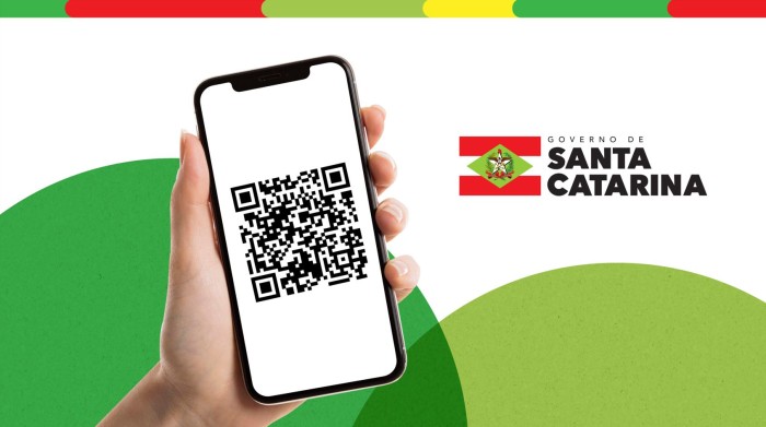 Governo de Santa Catarina oferece pagamento de taxas e impostos via PIX