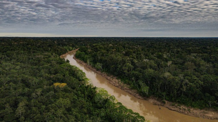 Biodiversidade de insetos aquáticos que habitam o Parque Estadual Chandless é tema de artigo científico