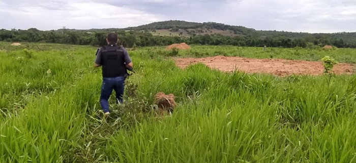 Foto: Reprodução/Polícia Civil - MS