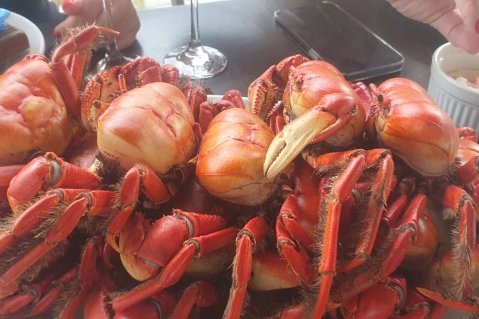 Festival do caranguejo mobiliza turistas em Pontal do Paraná a partir desta sexta-feira